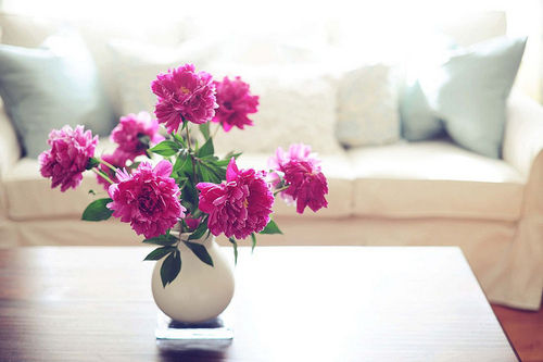 Floral fancy: Pictures of vases