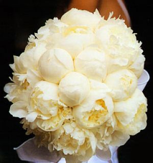 Peonies5.jpg