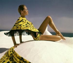 1960s-70s supermodel Veruschka