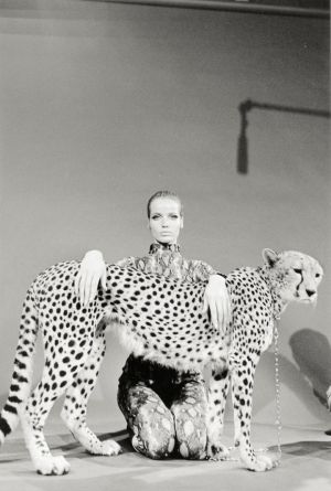 1960s-70s supermodel Veruschka