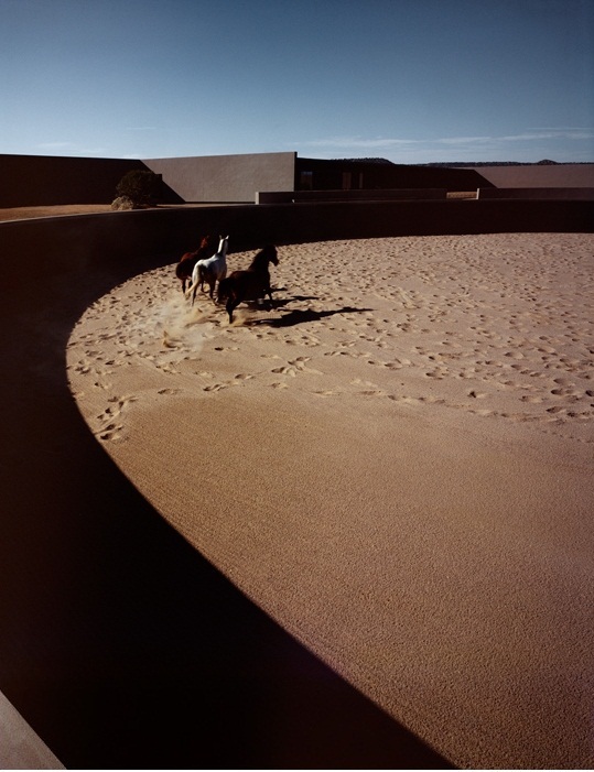 Rich ford in new mexico #8